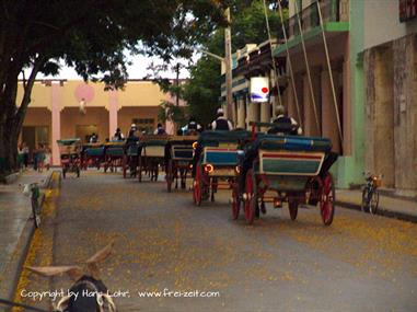 2004 Cuba, Chivirico - Bayamo - Cayo Coco, DSC01448 B_B720